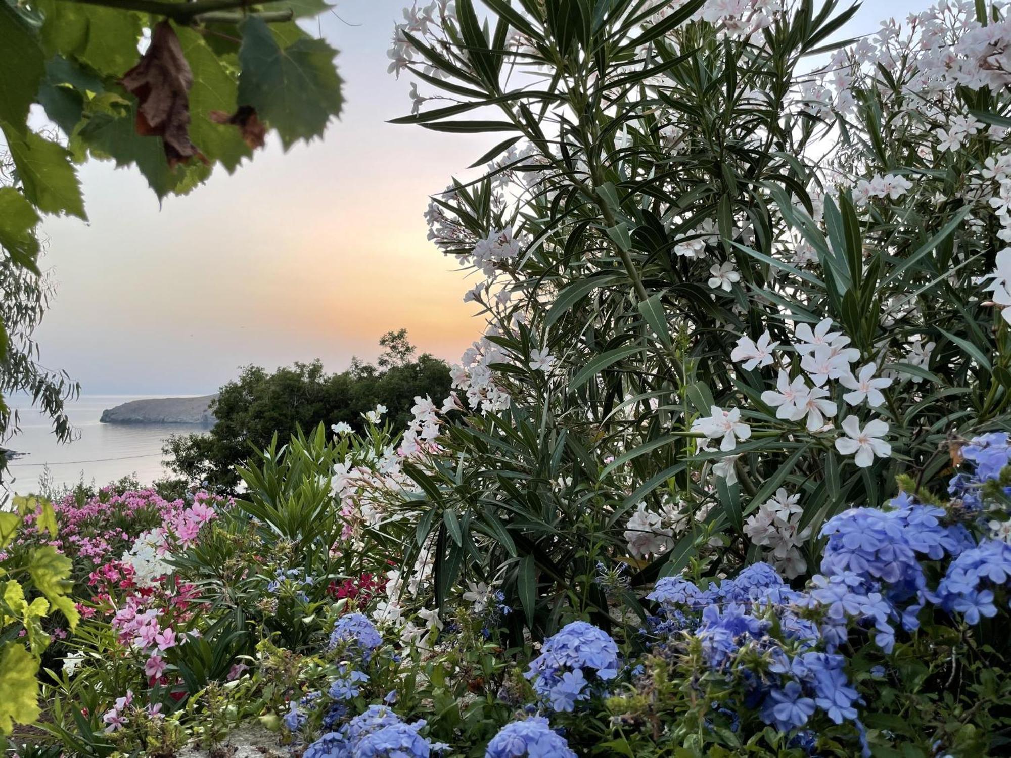 'Paraside' Seaside Villa In Delfini Says Netflix *