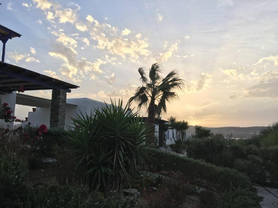 Paros @ Kite Villa *