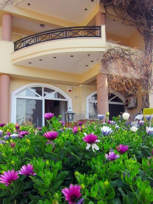 Lenico Beachfront * Agia Pelagia (Crete)