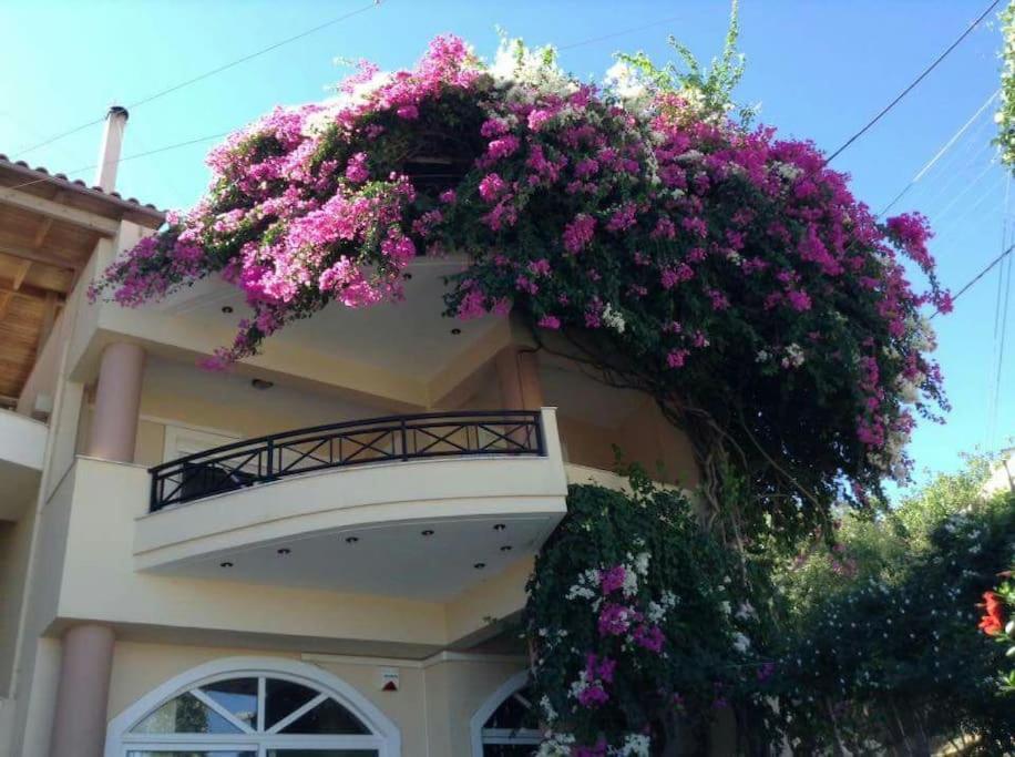 Lenico Beachfront