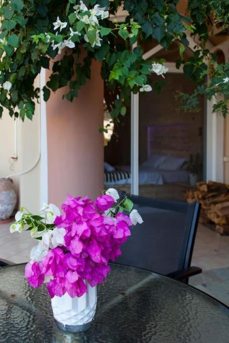 Lenico Beachfront * Agia Pelagia (Crete)
