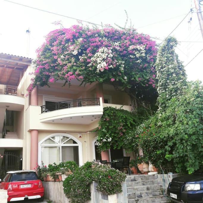 Holiday home Lenico Beachfront