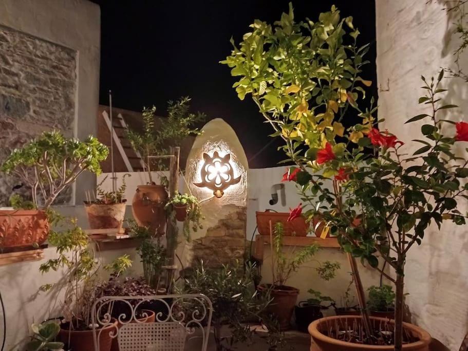 Jasmine Sea View With Blooming Patio * Ano Syros