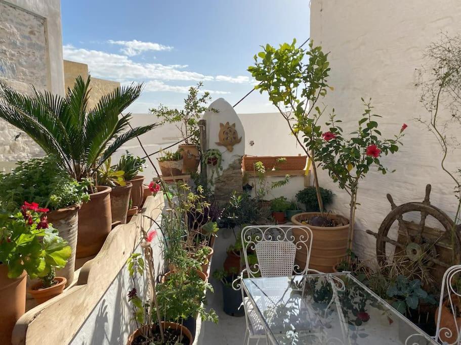 Jasmine Sea View With Blooming Patio * Ano Syros