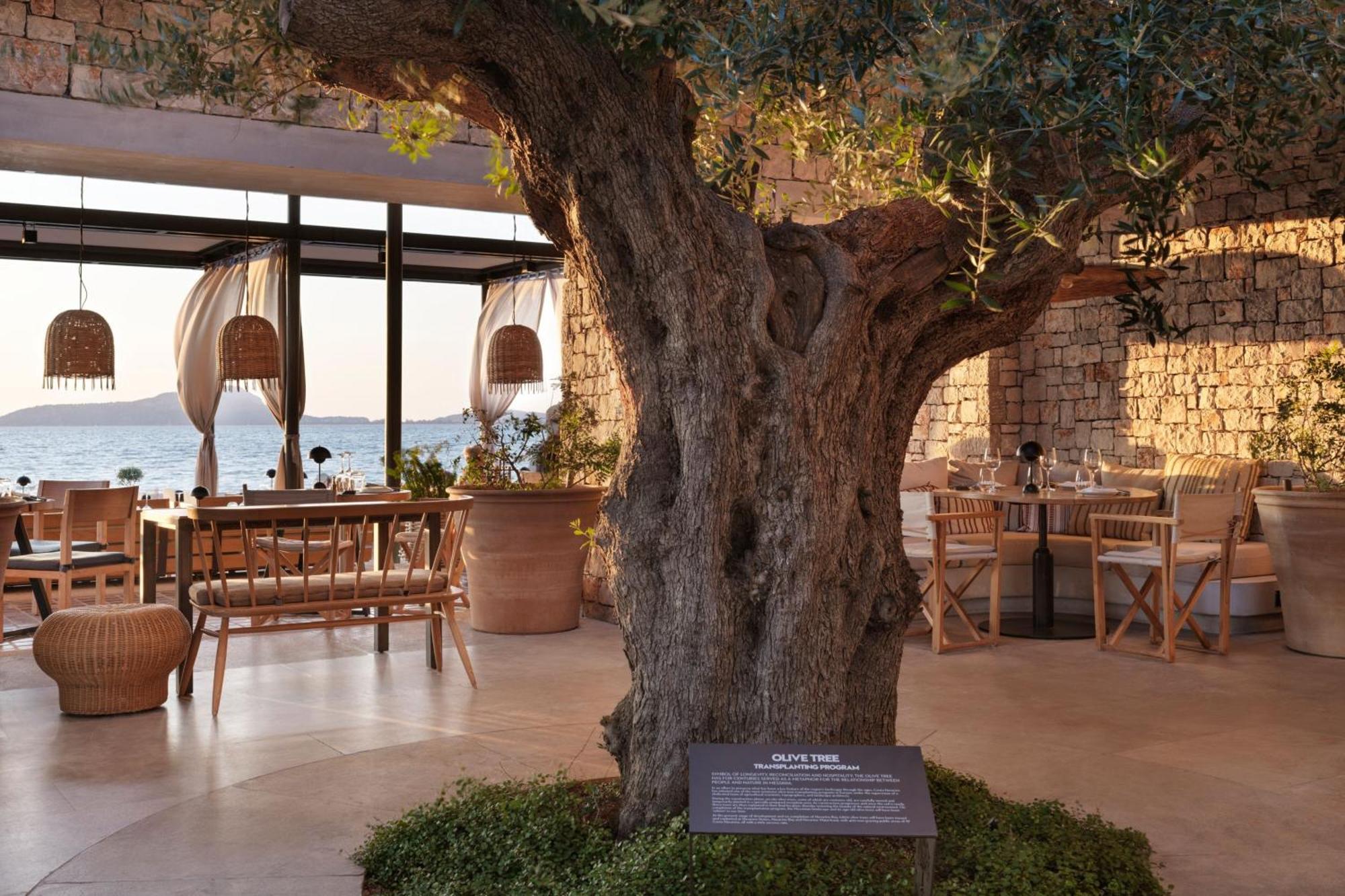 Hotel W Costa Navarino (adults Only) 5*