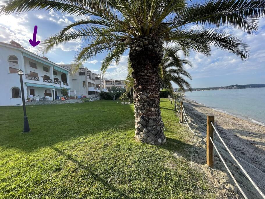 Thalassa-seafront Family * Skala Fourkas