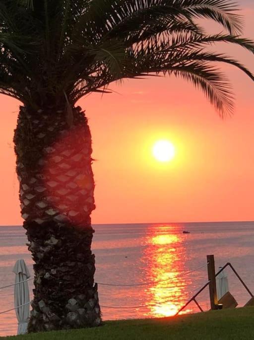 Thalassa-seafront Family * Skala Fourkas