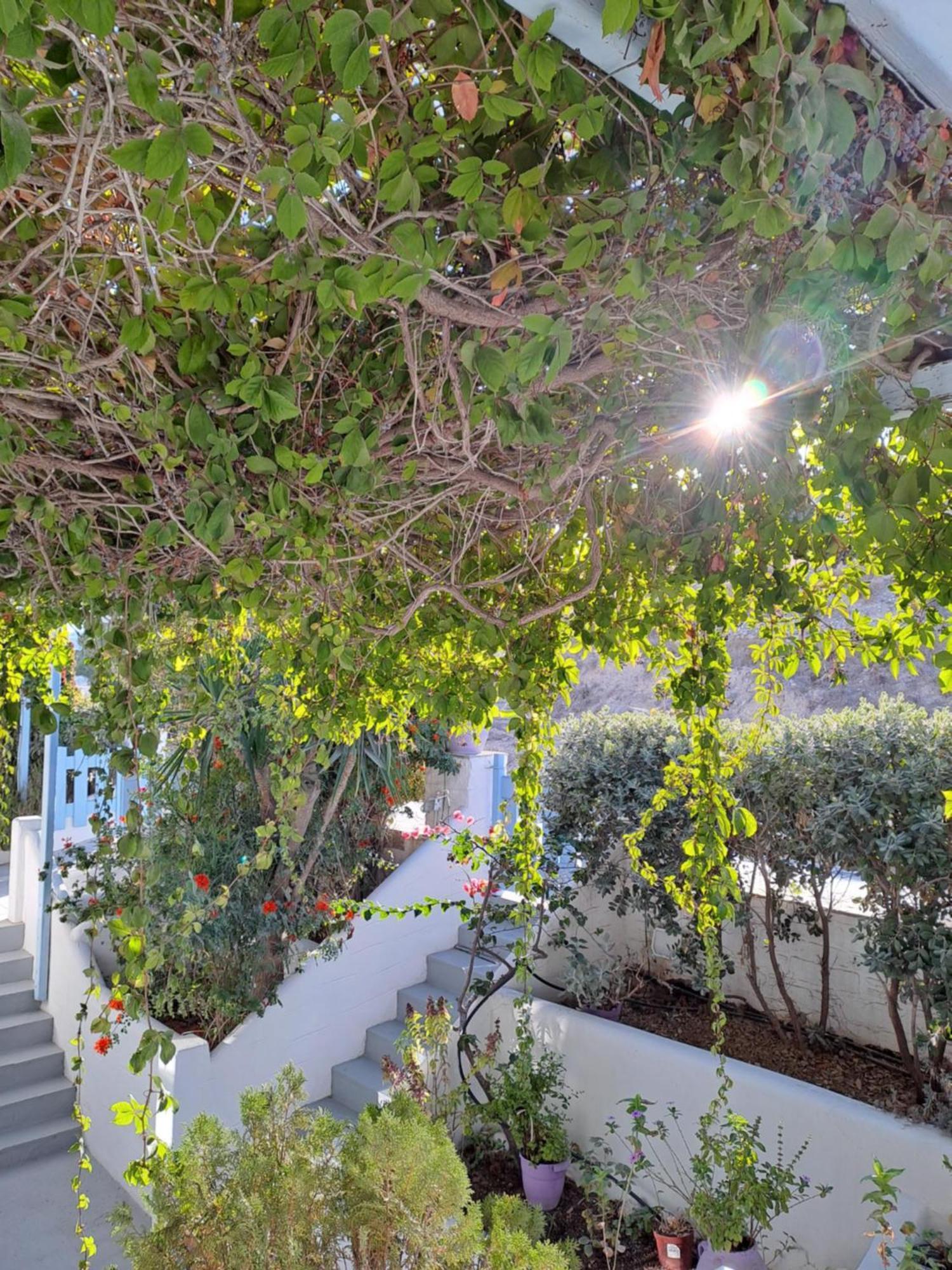 Aparthotel Stratos & Parikia (Paros)