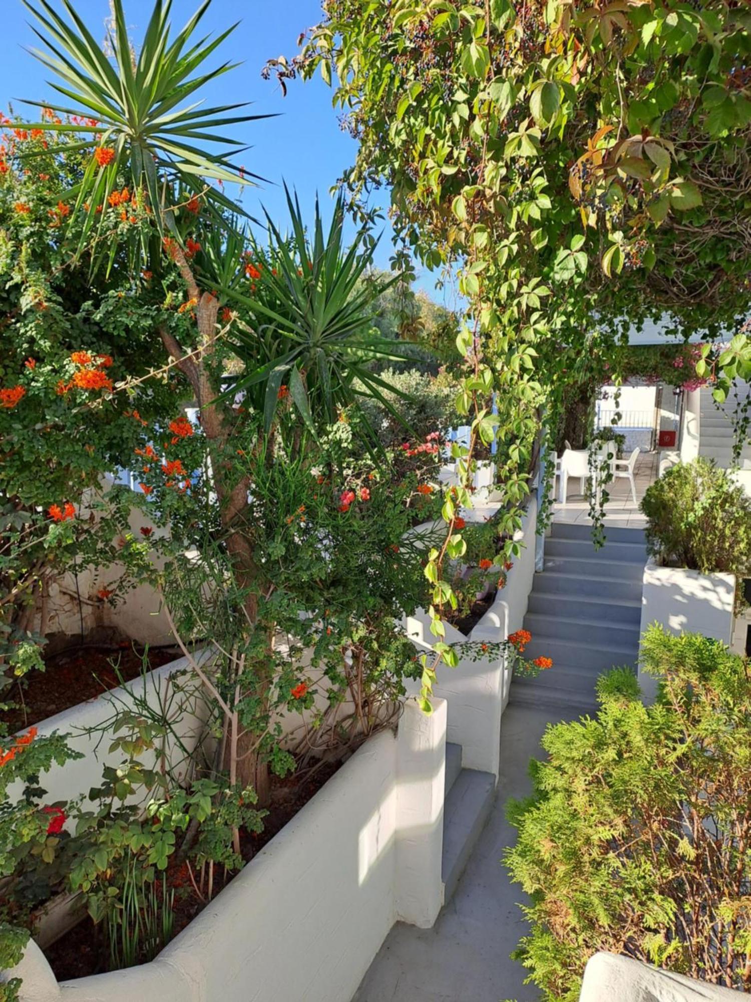 Stratos & Aparthotel Parikia (Paros)