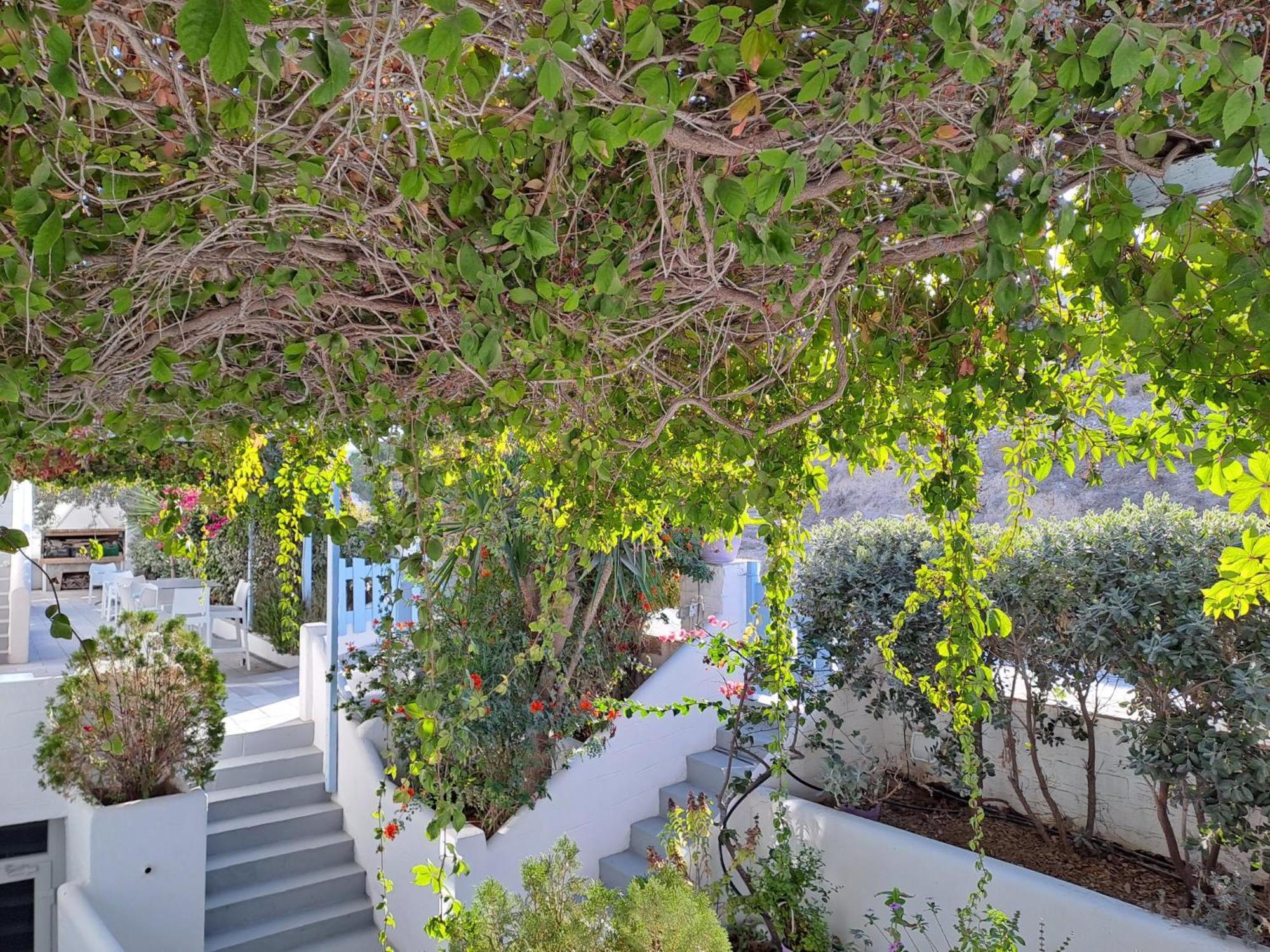 Stratos & 3* Parikia (Paros)