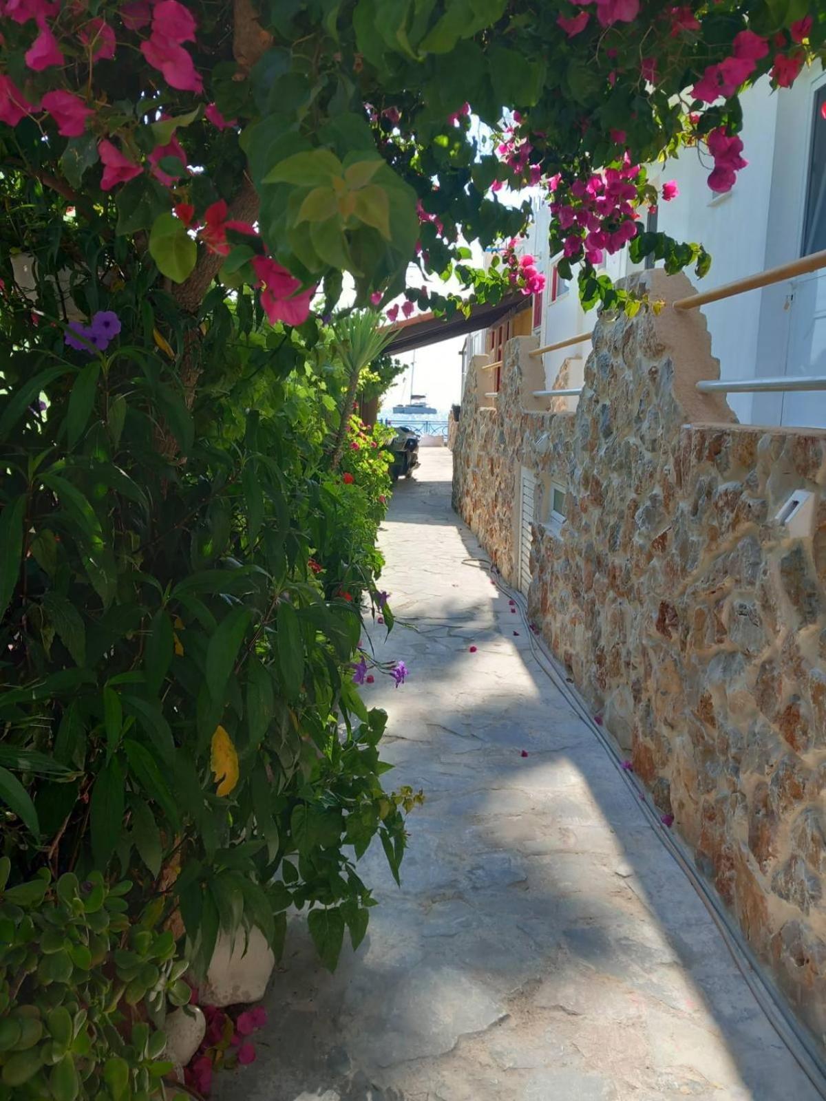 Anemomylos