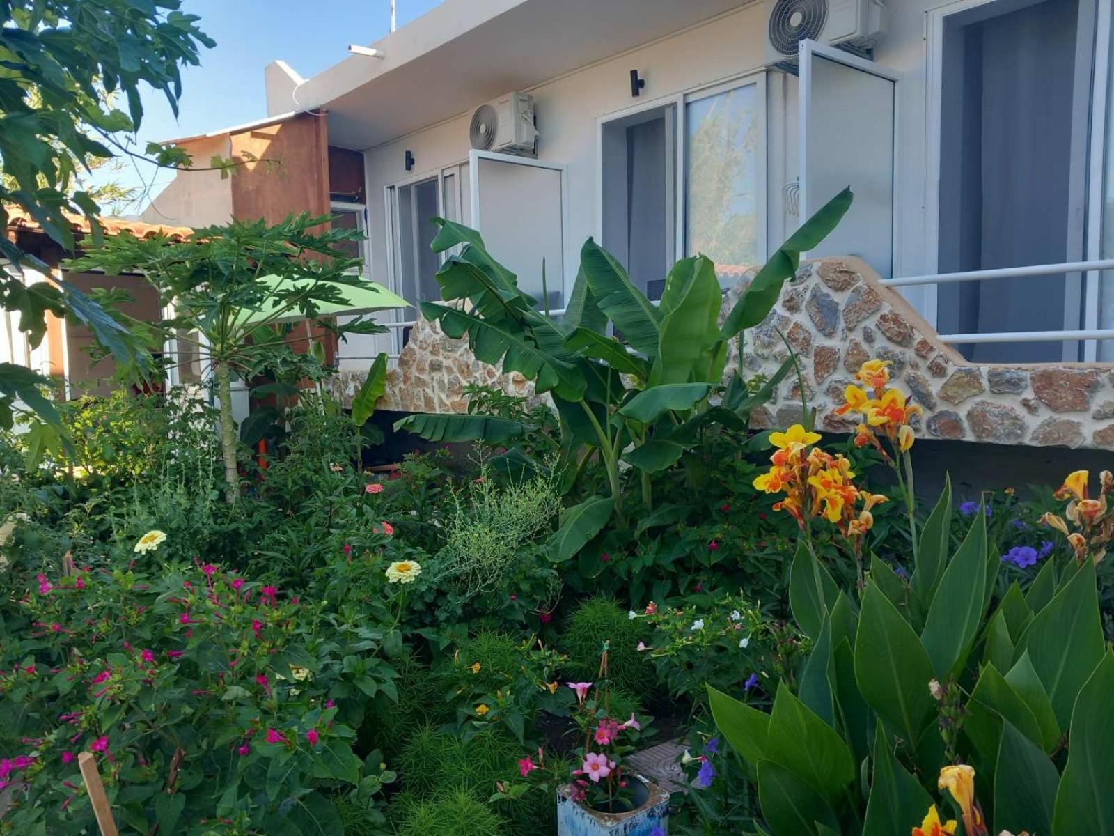 Apartment Anemomylos