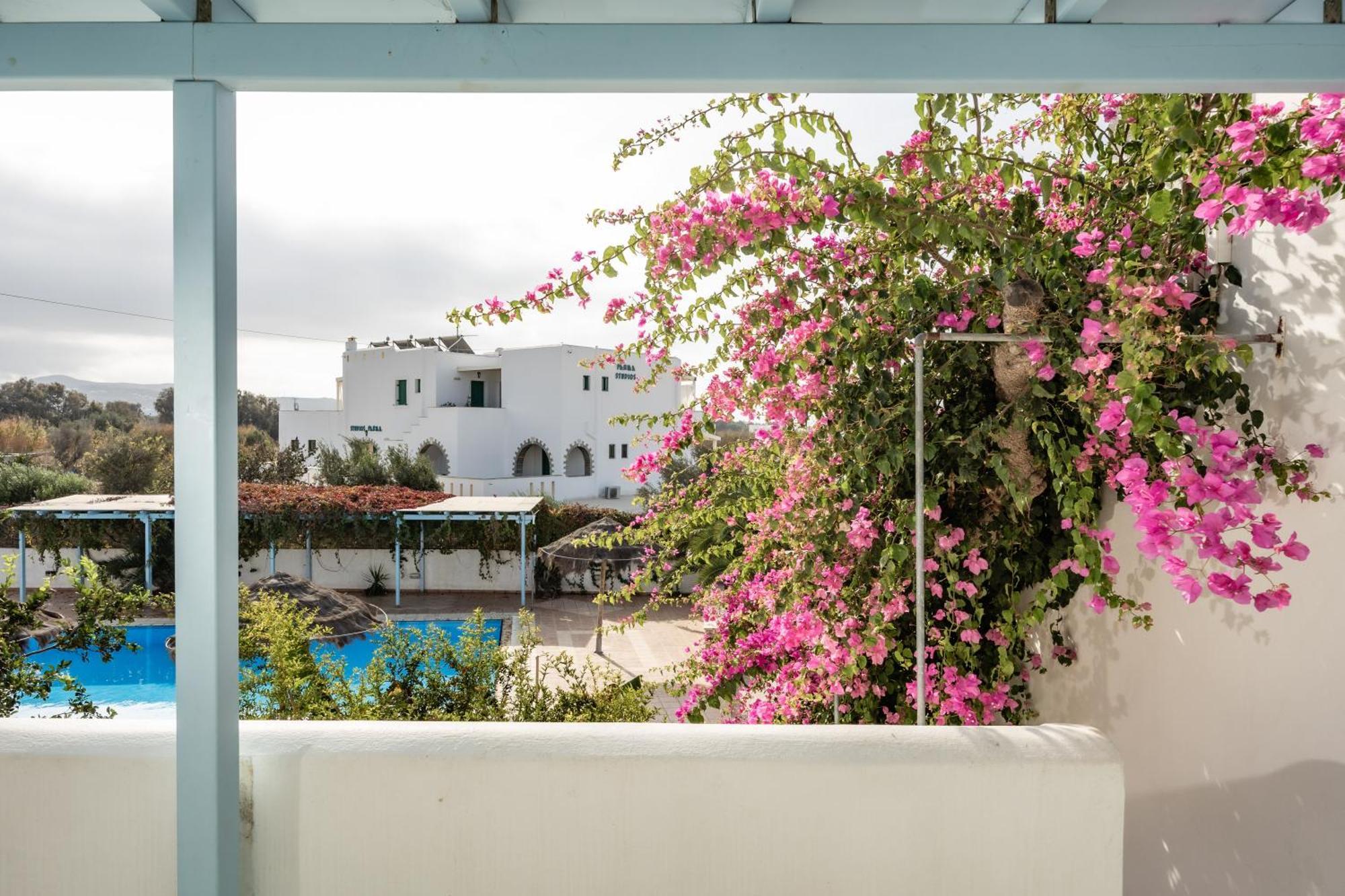 Aggeliki's Diamond Aparthotel Agia Anna (Naxos)
