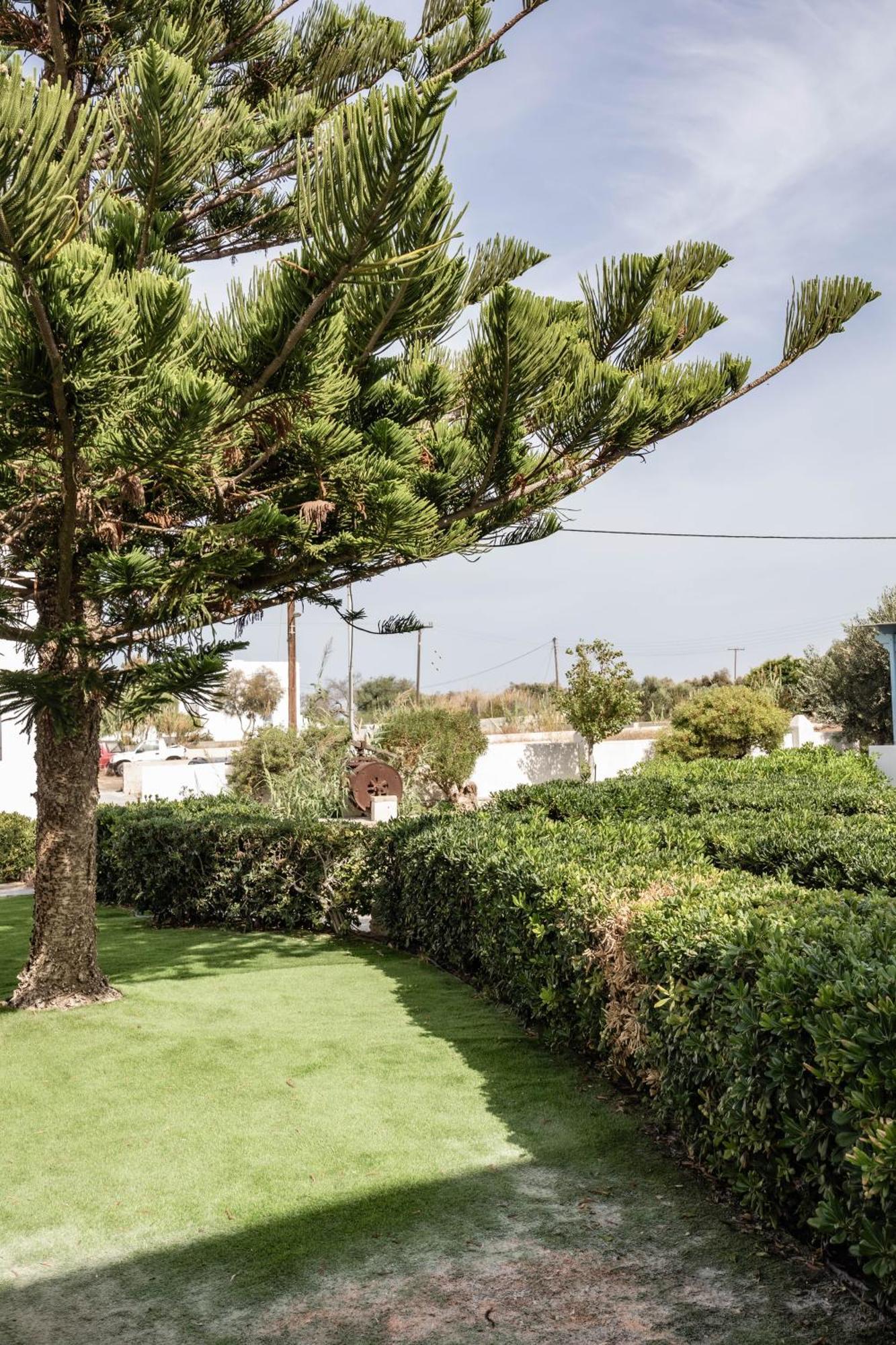 Aparthotel Aggeliki's Diamond Agia Anna (Naxos)