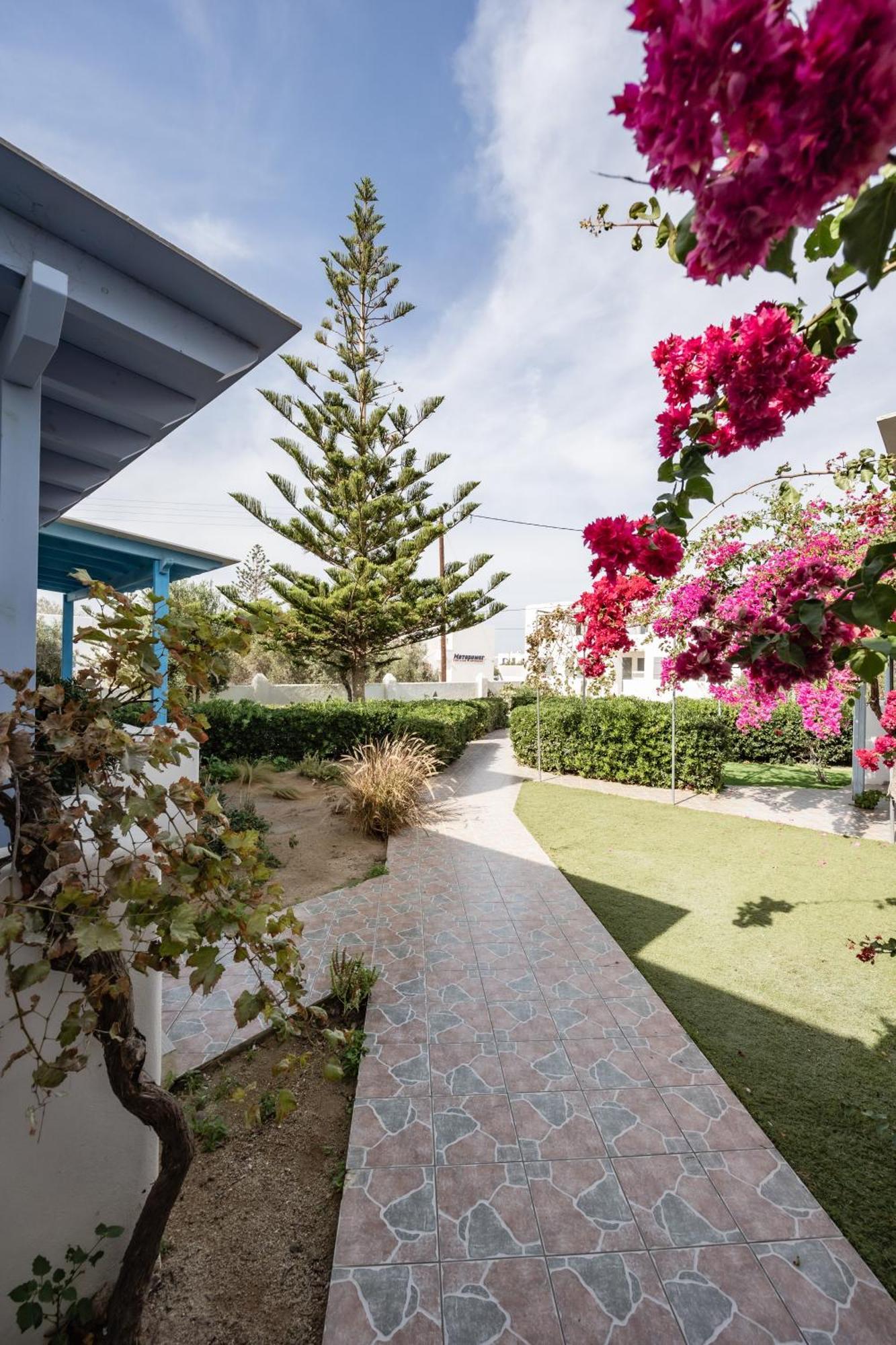 Aggeliki's Diamond Aparthotel Agia Anna (Naxos)
