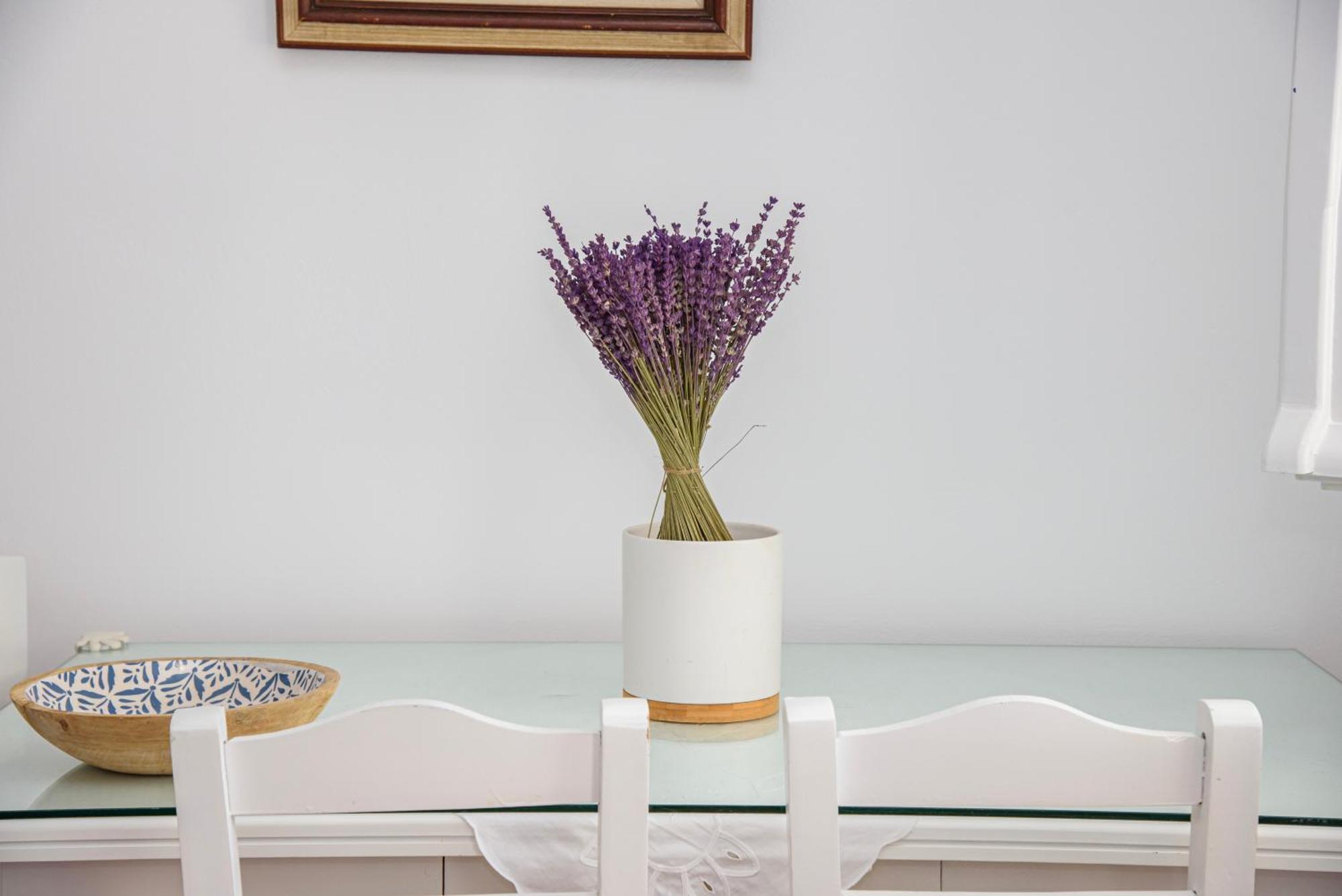 Apartment Didymes Studios