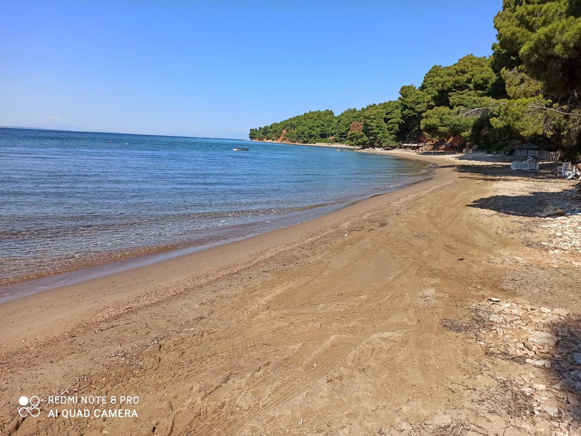 Apartment Squirrels, With View Metamorfosi (Sithonia)