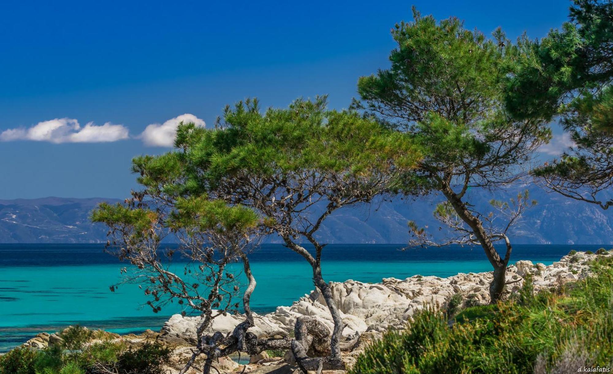 Aparthotel House Michalis Sarti