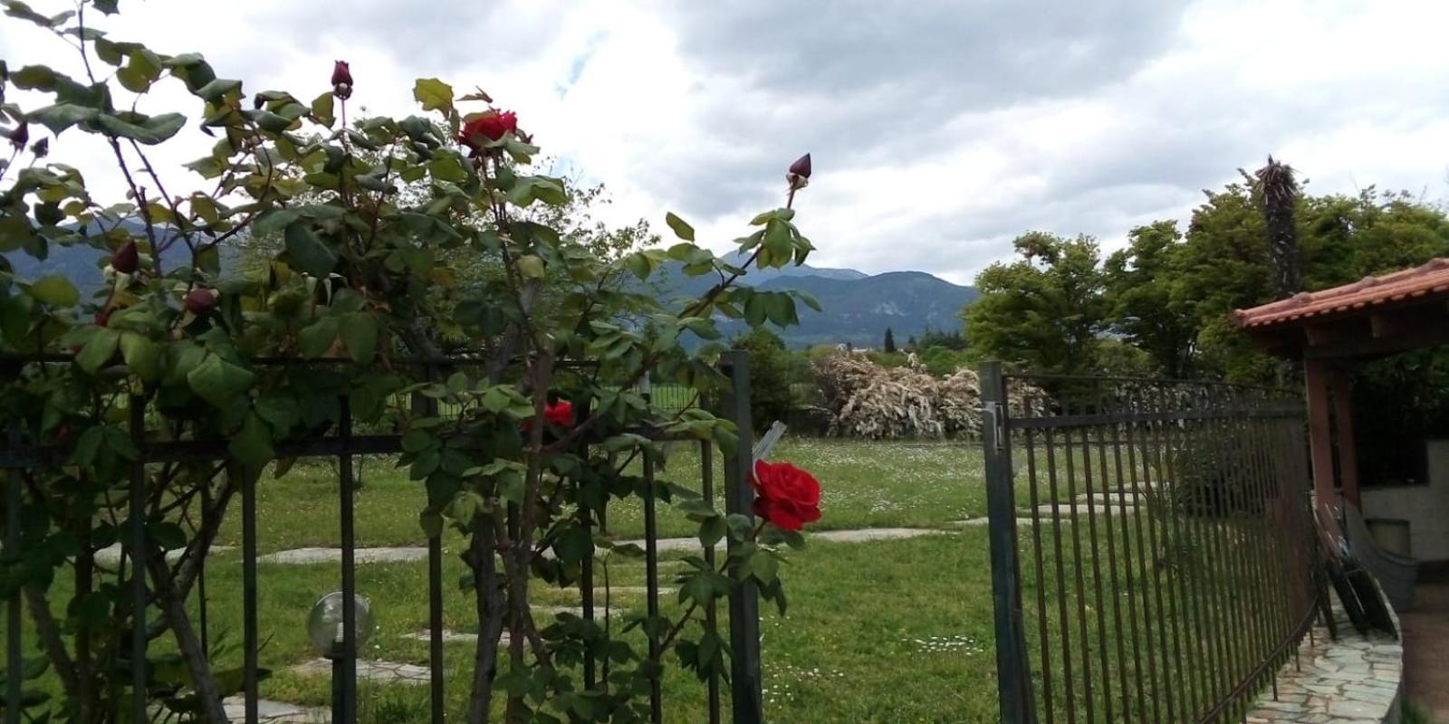 Villa Anna Leptokarya (Pieria)