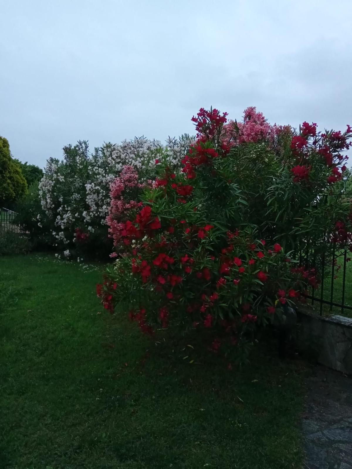 Anna Villa Leptokarya (Pieria)