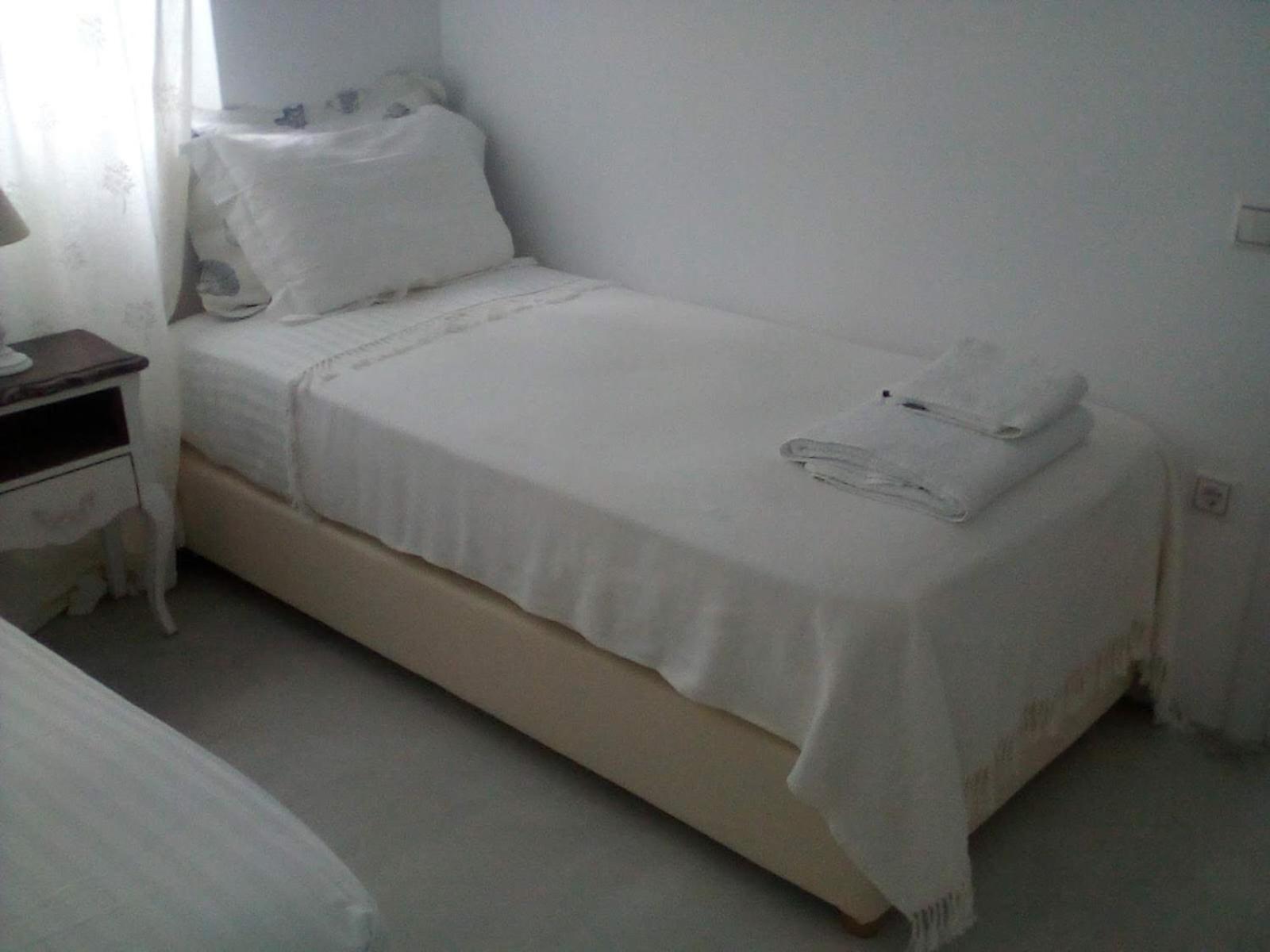 Apartment Pelagini *