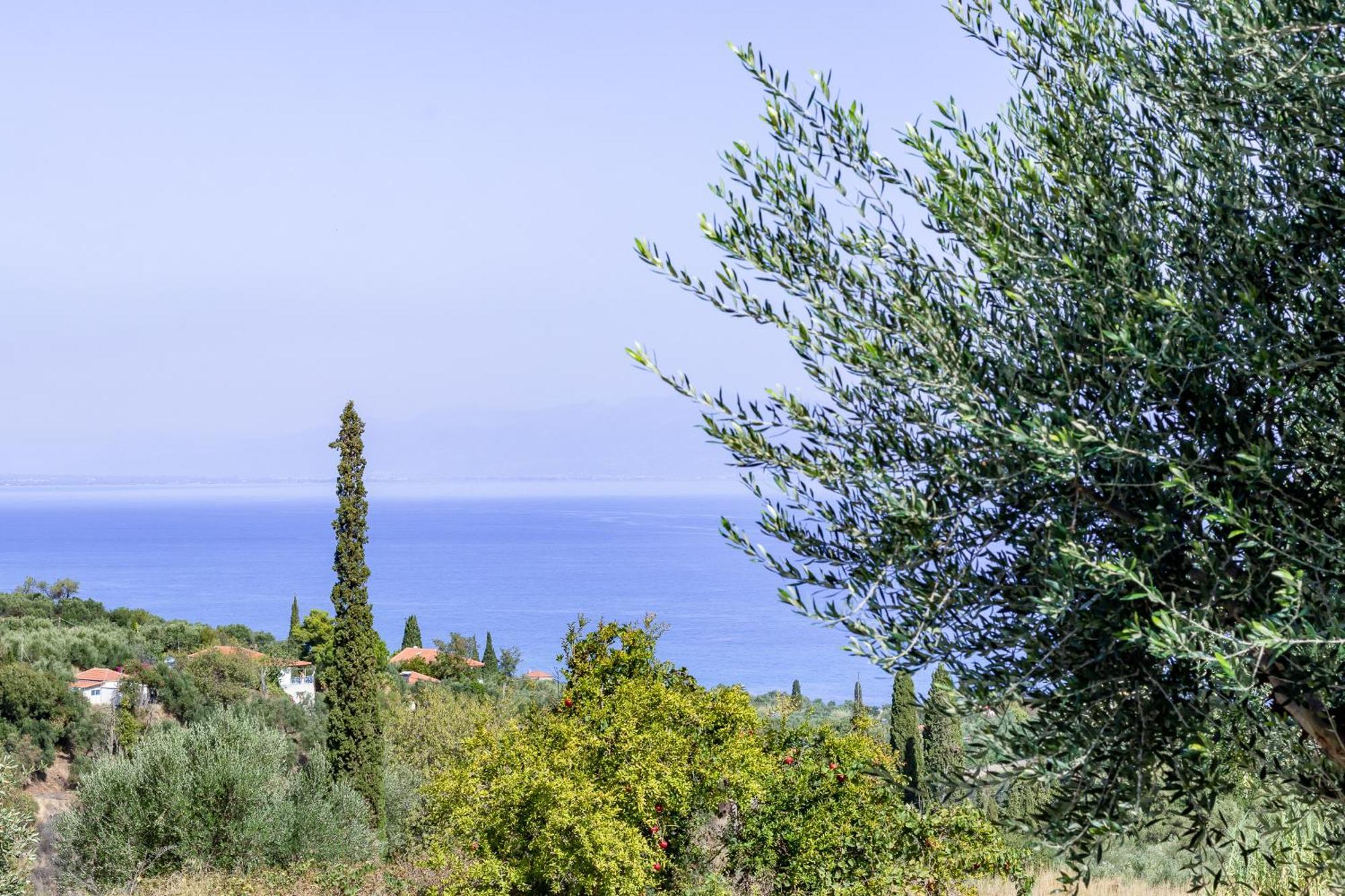 Pithea Luxury Living Koroni (Messinia)