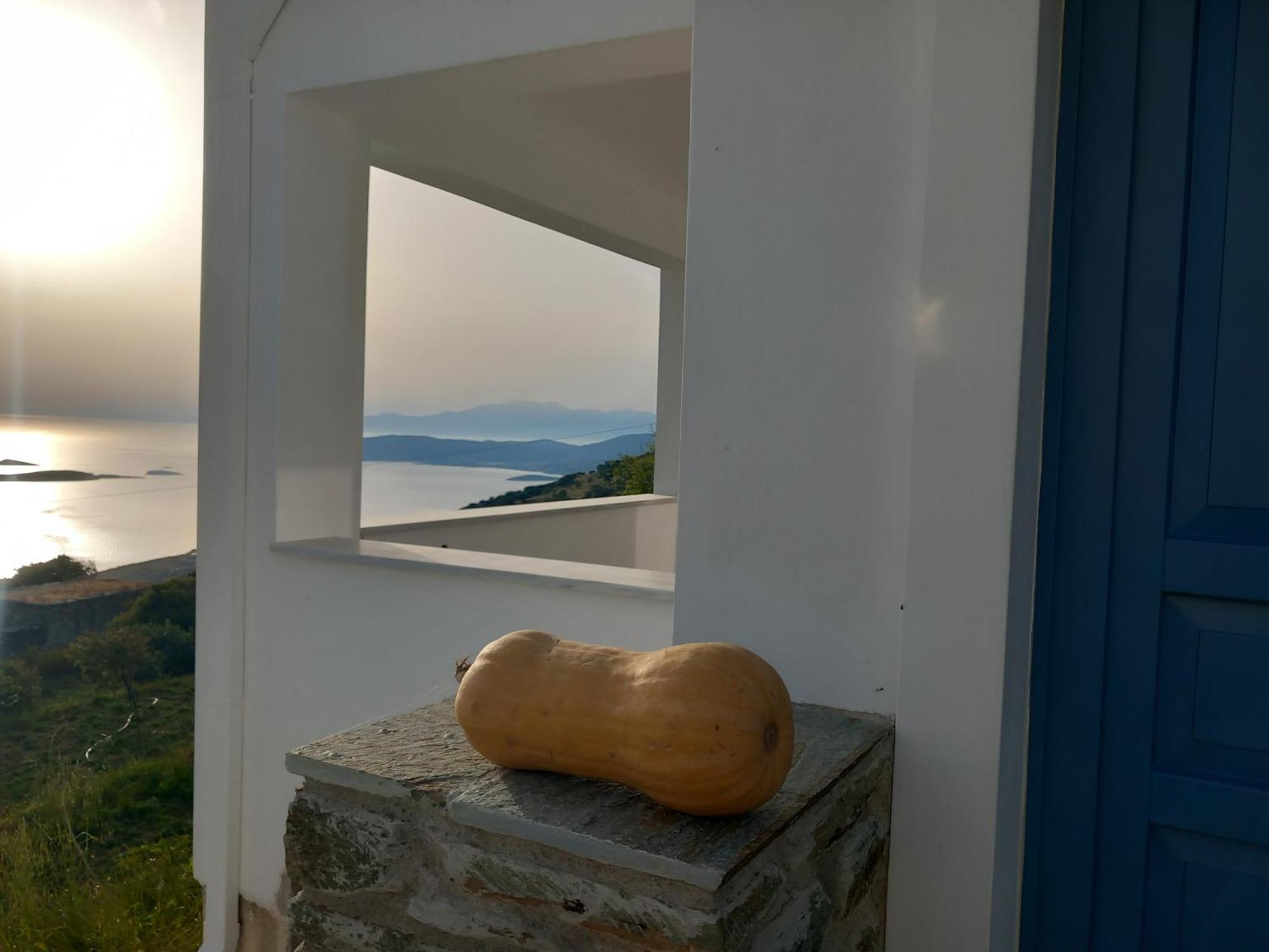Apartment Aegean Mirror, Andros Aprovaton