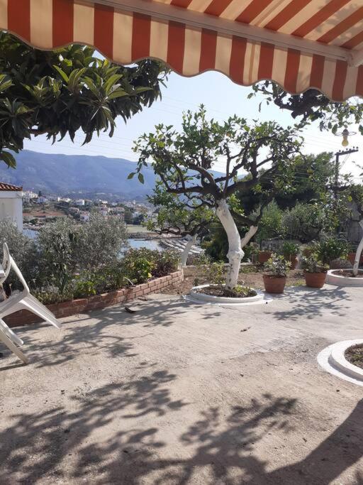 Garden Sea View Apartment *
