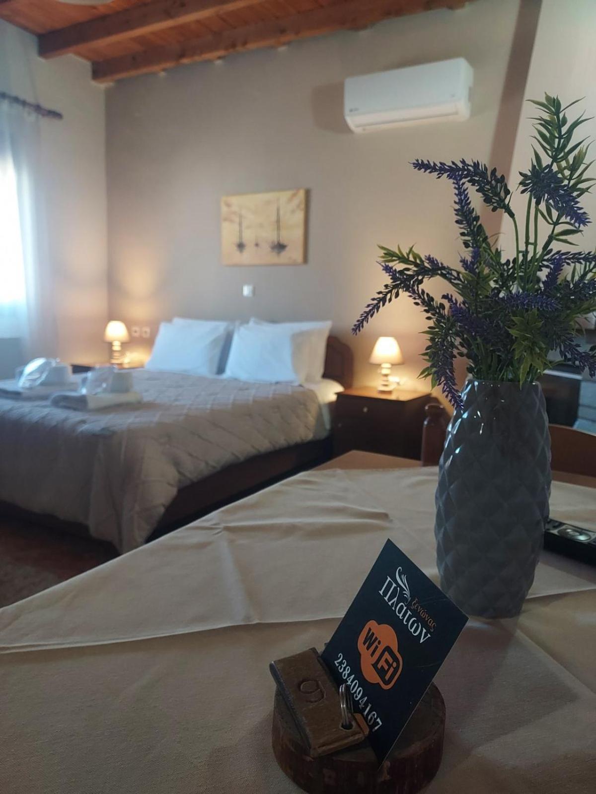 Platon Guest house *