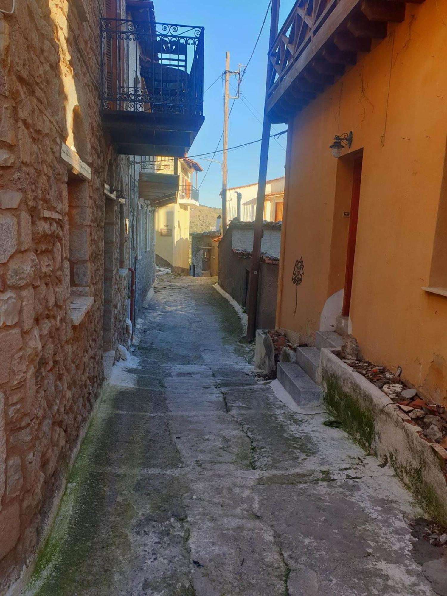 ζεστή φωλιά Apartment *