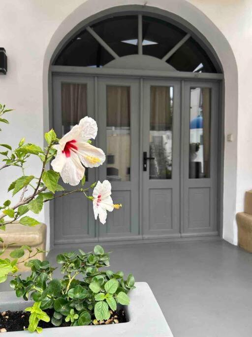Apartment Antoniou Santorini Luxury *