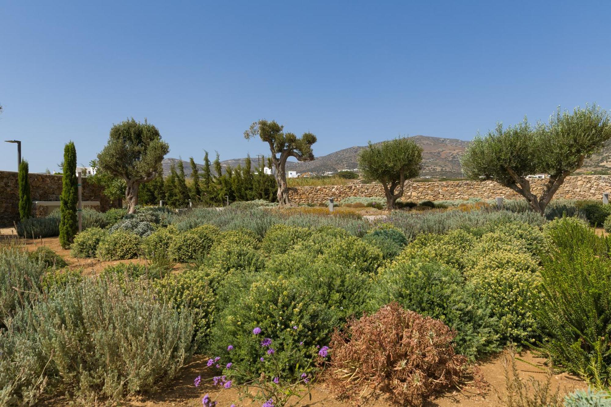 Eleonas Estate - With Partially Private Pools & Professional Tennis Court Villa Parikia (Paros)