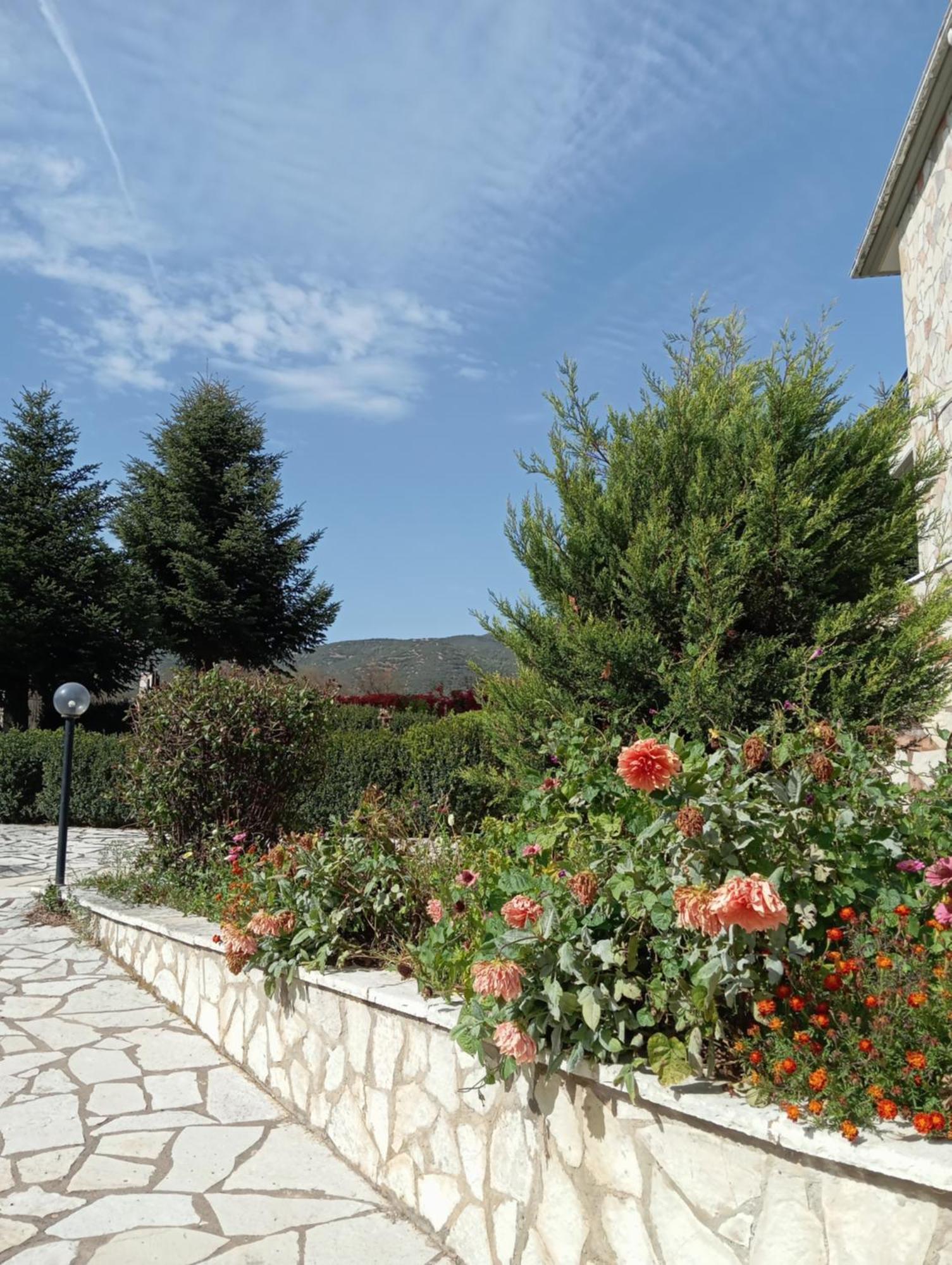 Guest house Valia Kalavryta