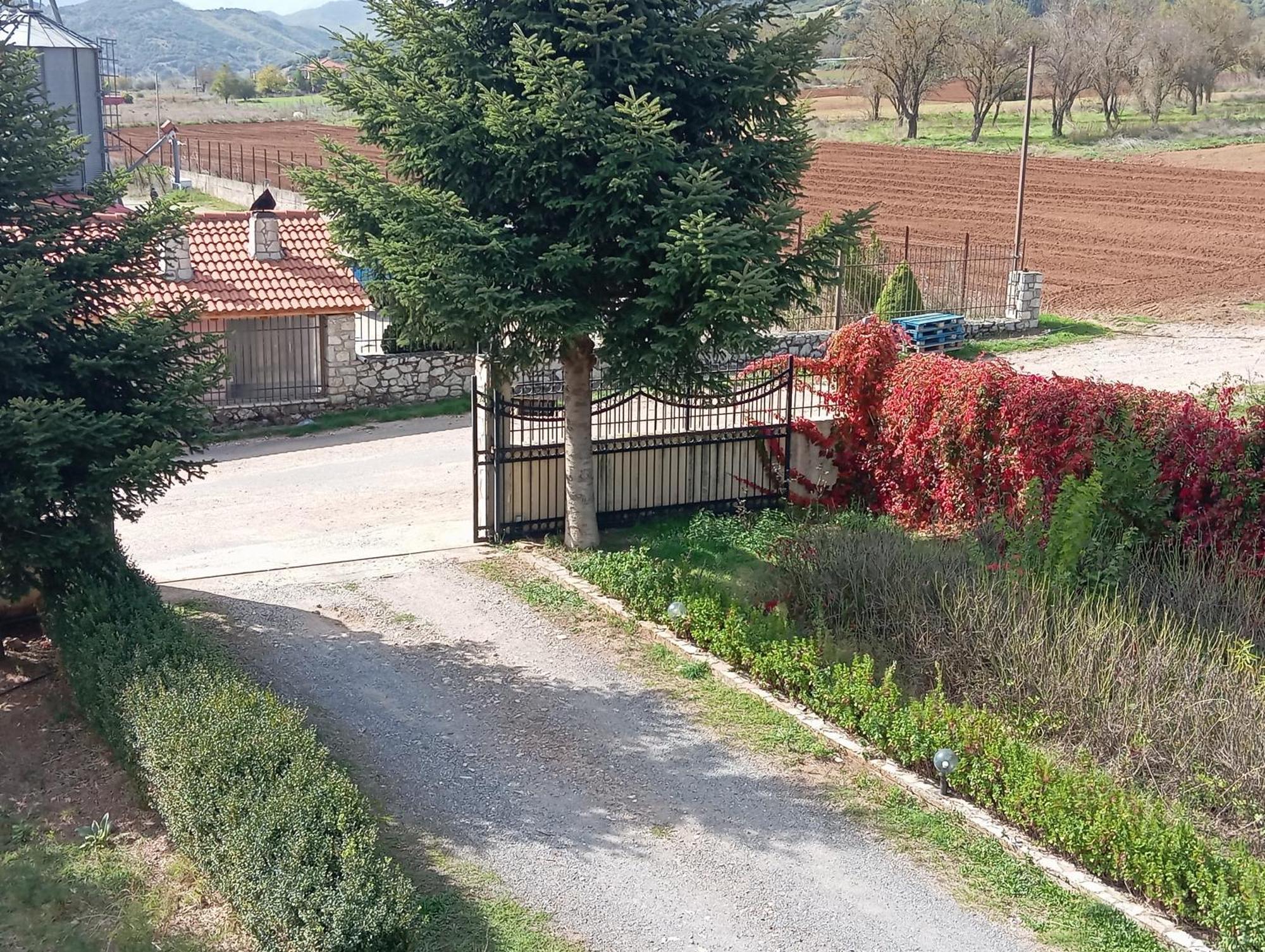 Valia Guest house