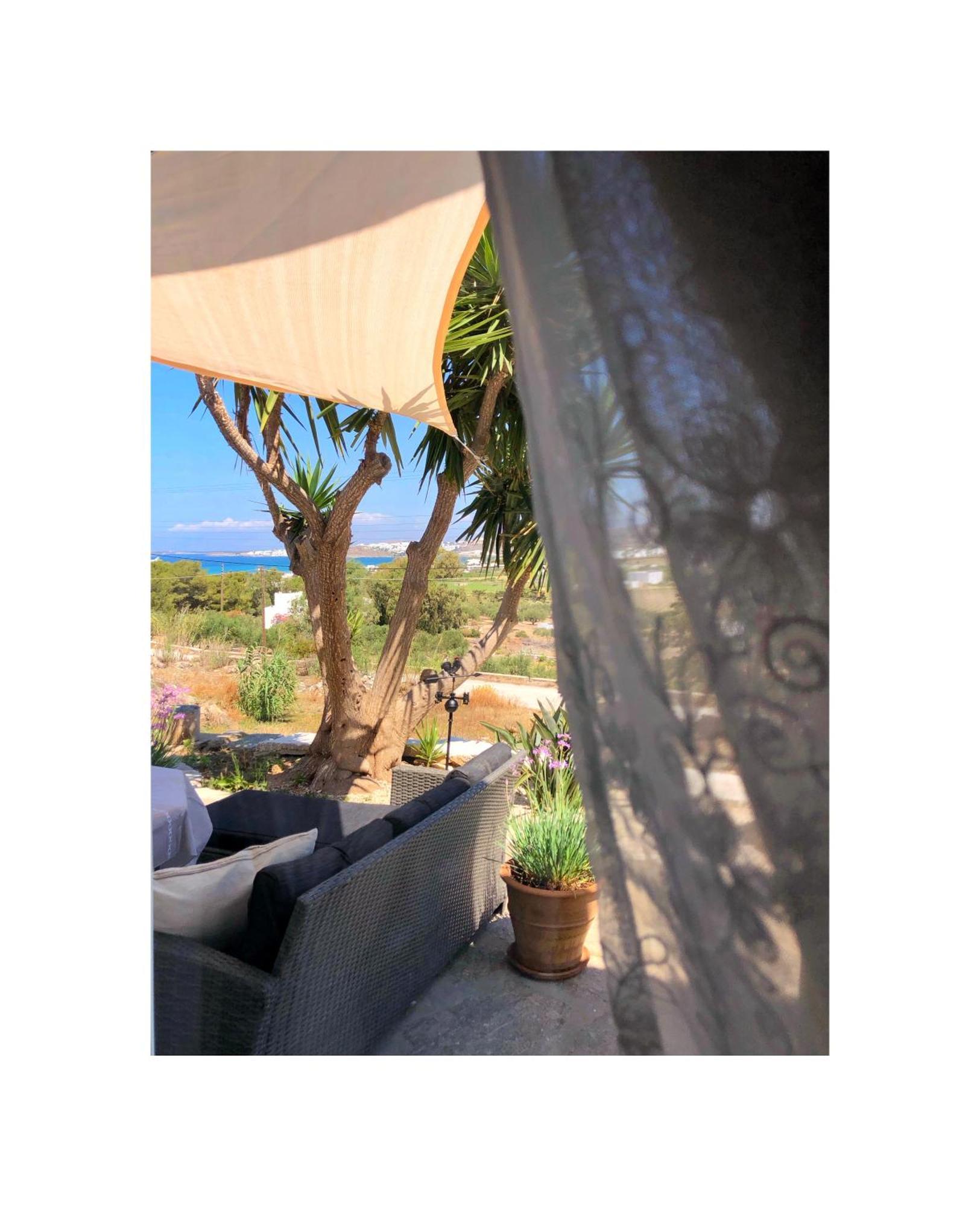 Koukounari Paros Naousa (Paros)