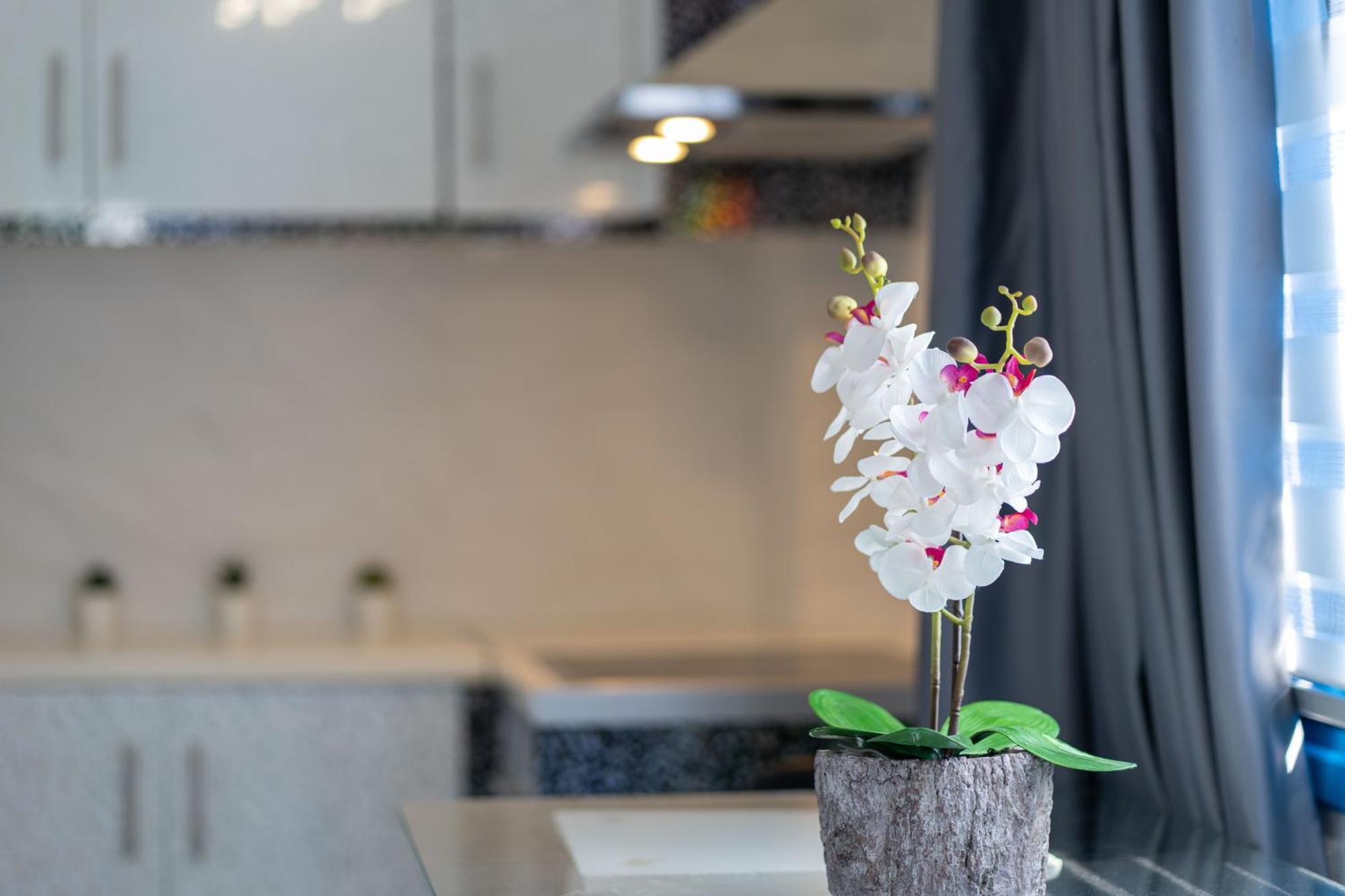 Santorita Suites * Akrotiri (Santorini)