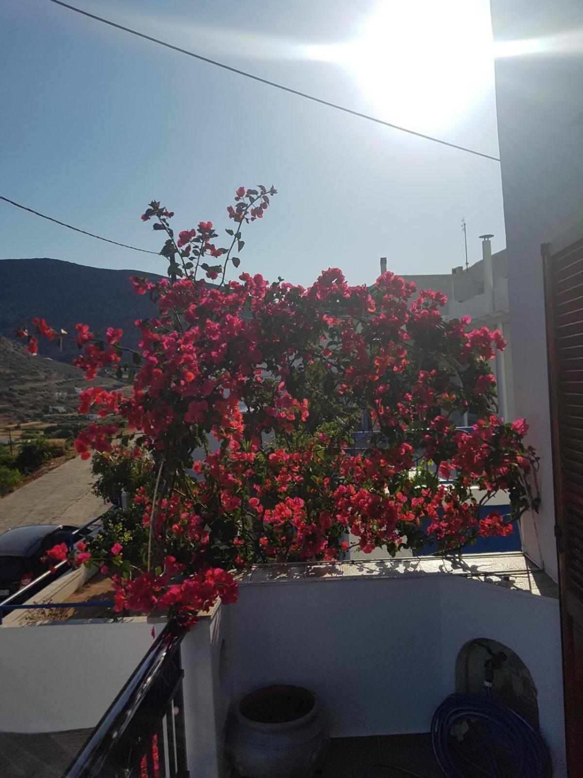 Chrysa House 2*