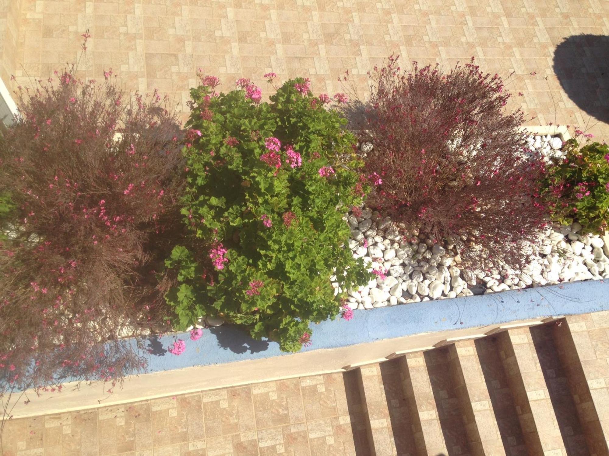 Apartment Gorgona Di Thassos