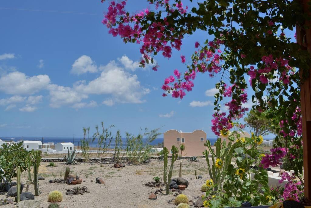 Cactus Hideaway With Sea Views * Imerovigli (Santorini)