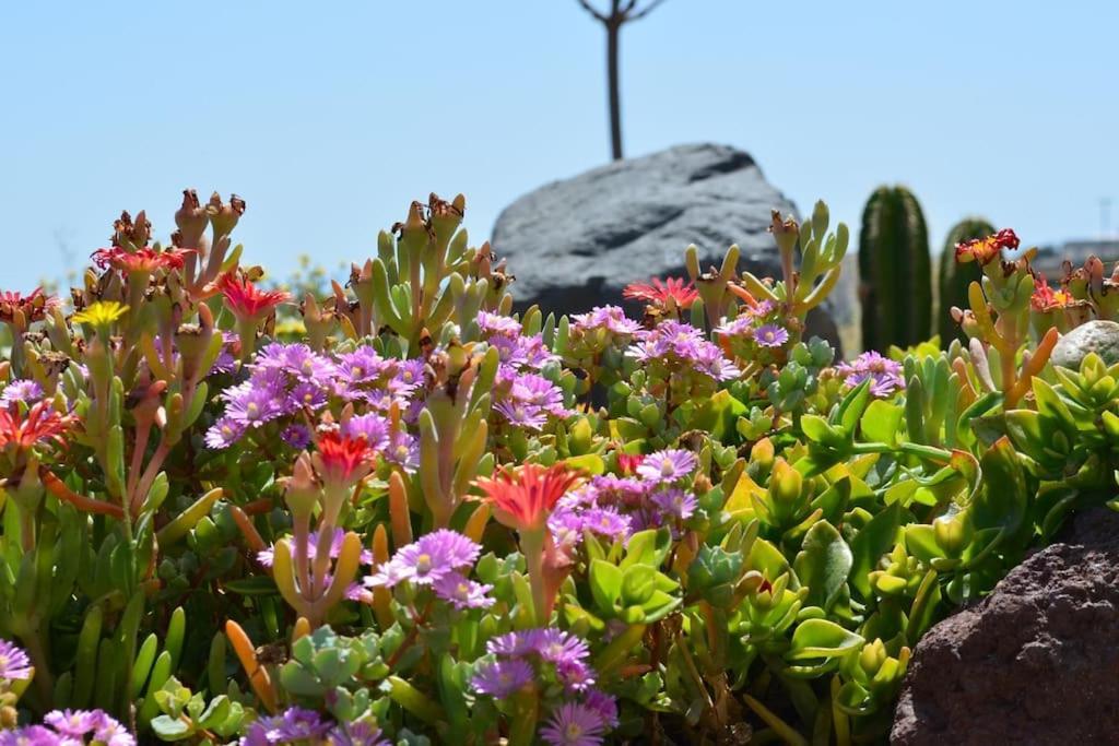 Cactus Hideaway With Sea Views Holiday home