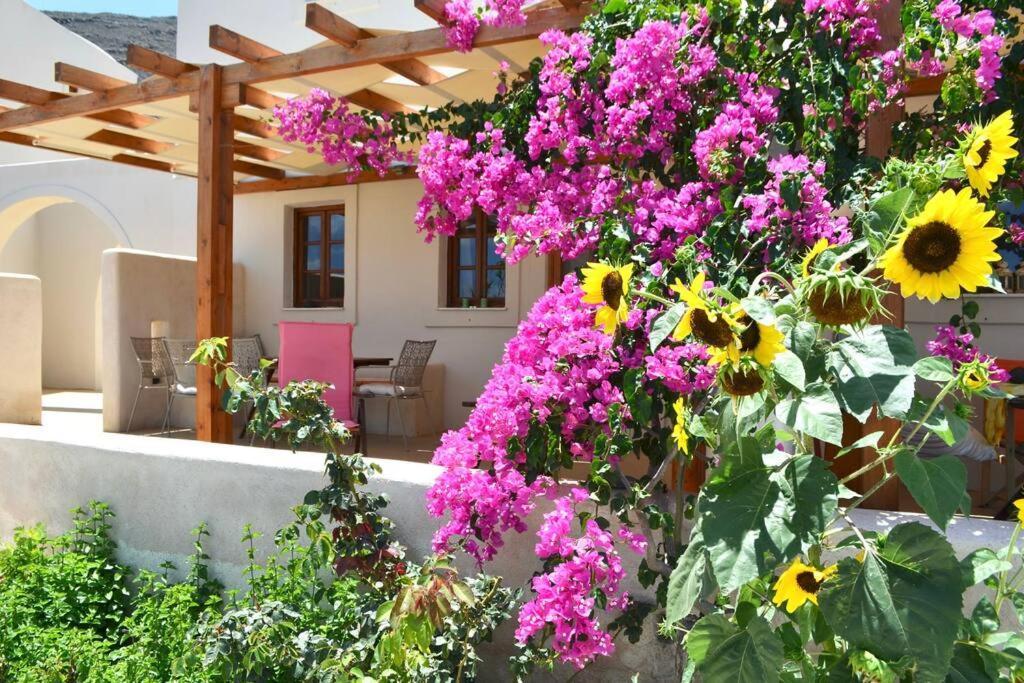 Cactus Hideaway With Sea Views Imerovigli (Santorini)