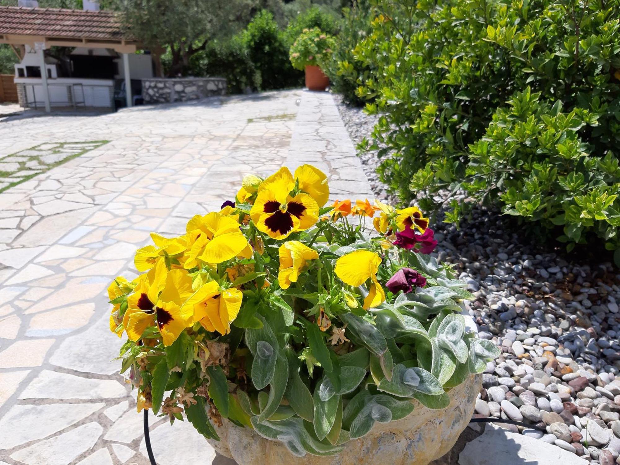Korakias Seaview * Geni (Lefkada)