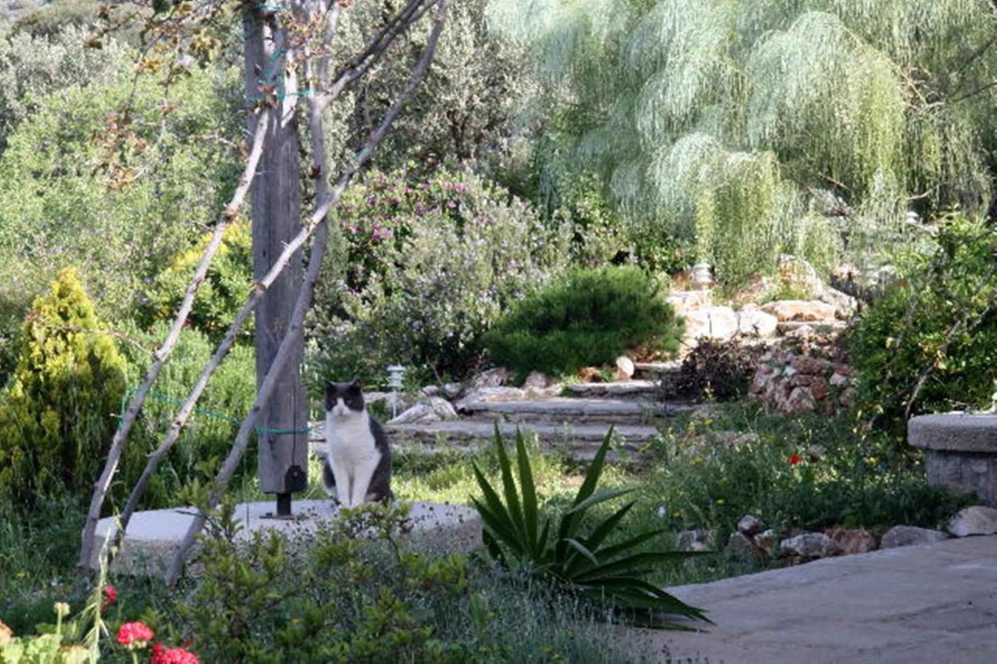 Country house To The Garden *