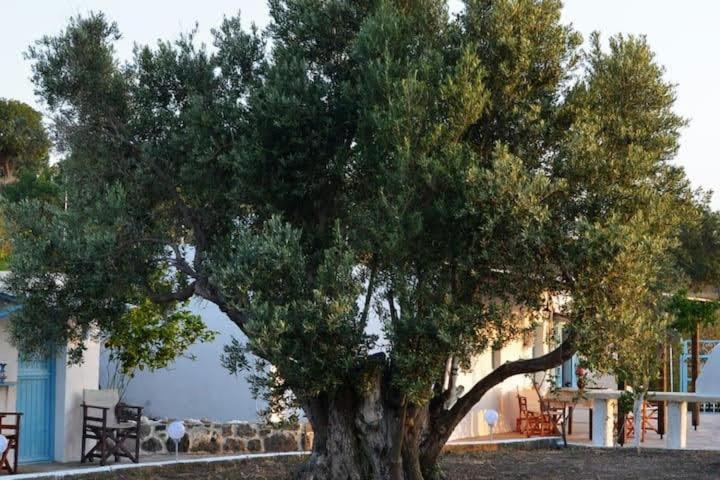 Holiday home «astrofeggia» A Private Stone House Nature-seaview Mandraki (Nisyros)