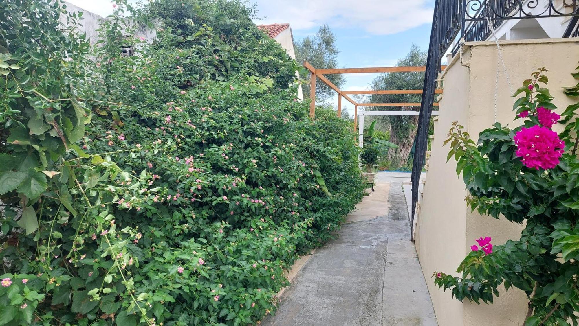 Amelia's Garden I Aparthotel