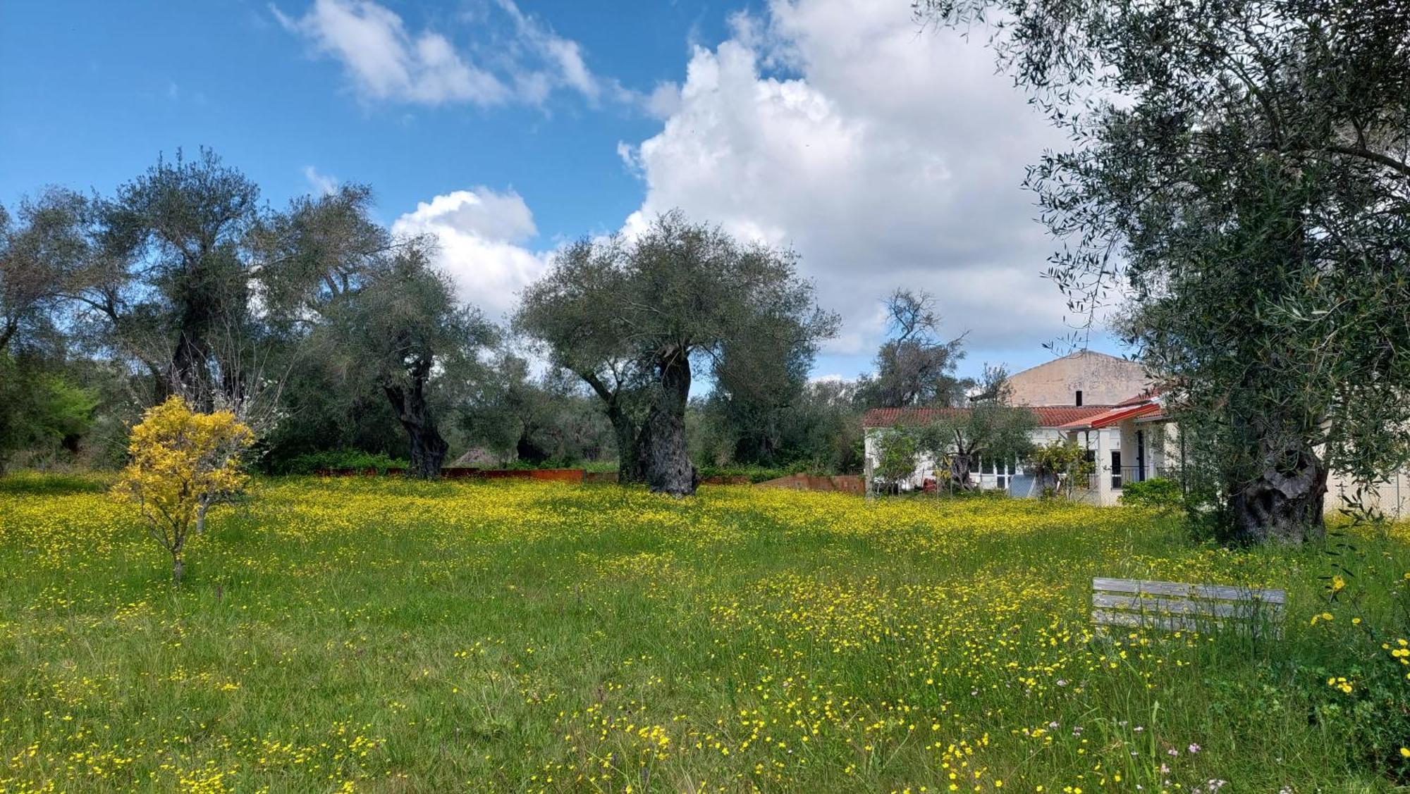 Aparthotel Amelia's Garden I Kavos