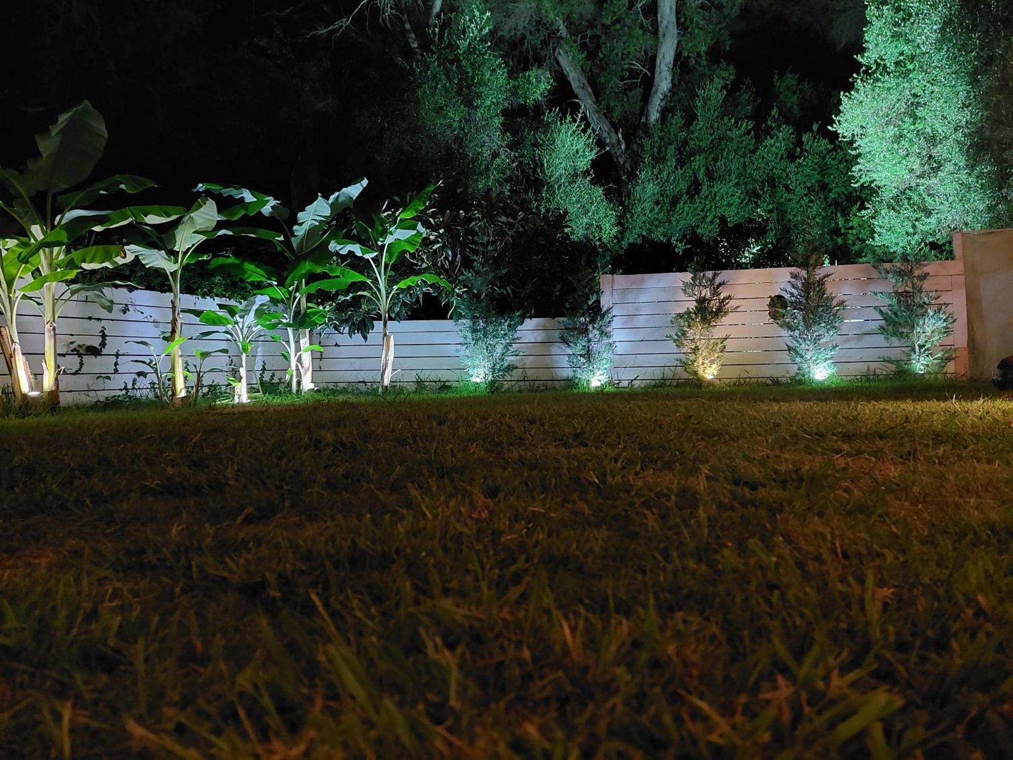 Amelia's Garden I