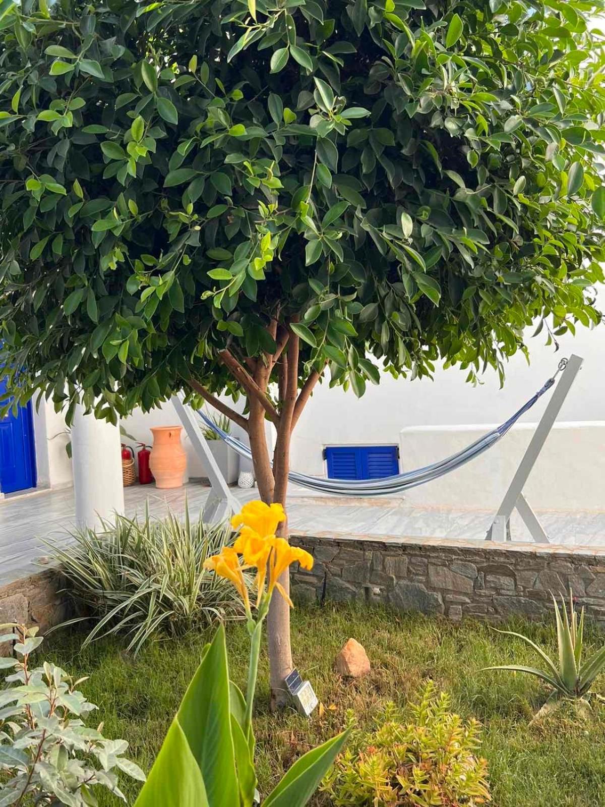 Marioly Parikia (Paros)
