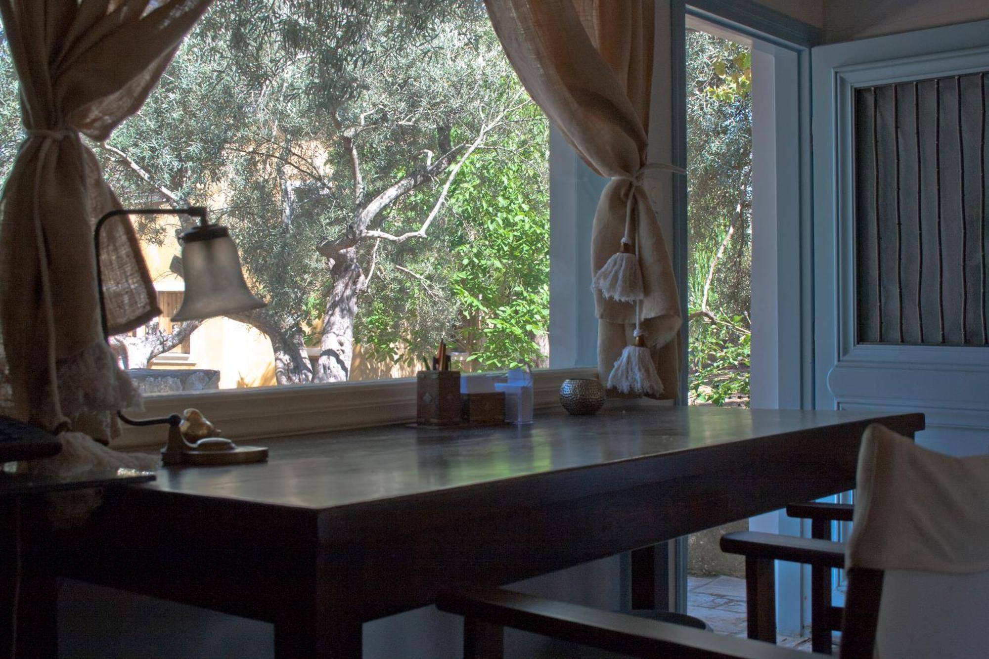 Olive Grove - Excellent View