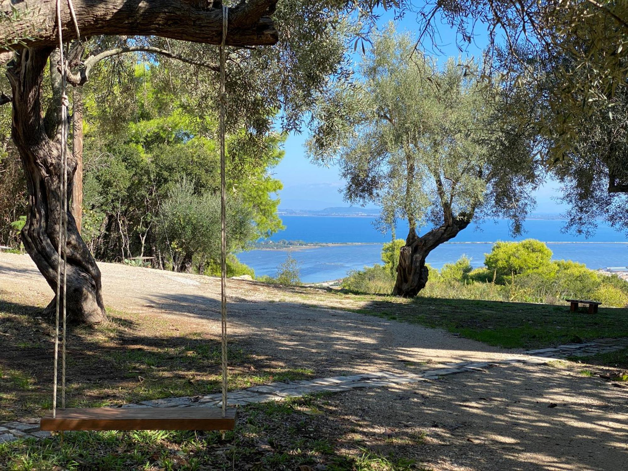 Olive Grove - Excellent View * Frinion